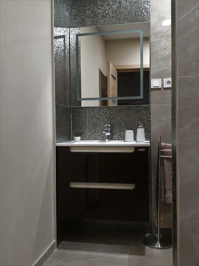 Irina Apartments Temesvár Kültér fotó