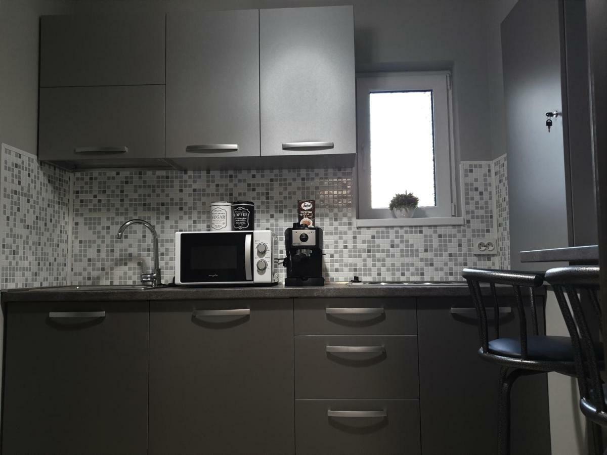 Irina Apartments Temesvár Kültér fotó