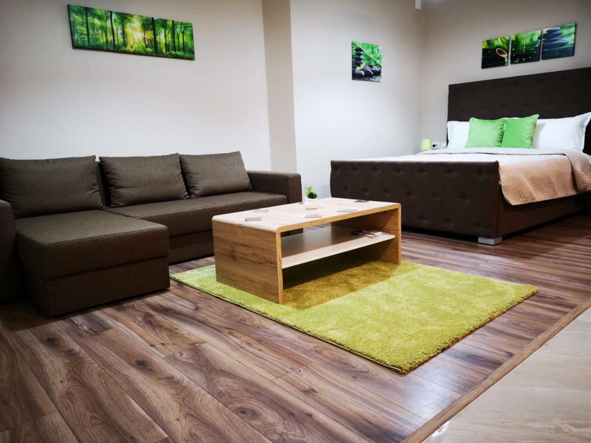 Irina Apartments Temesvár Kültér fotó