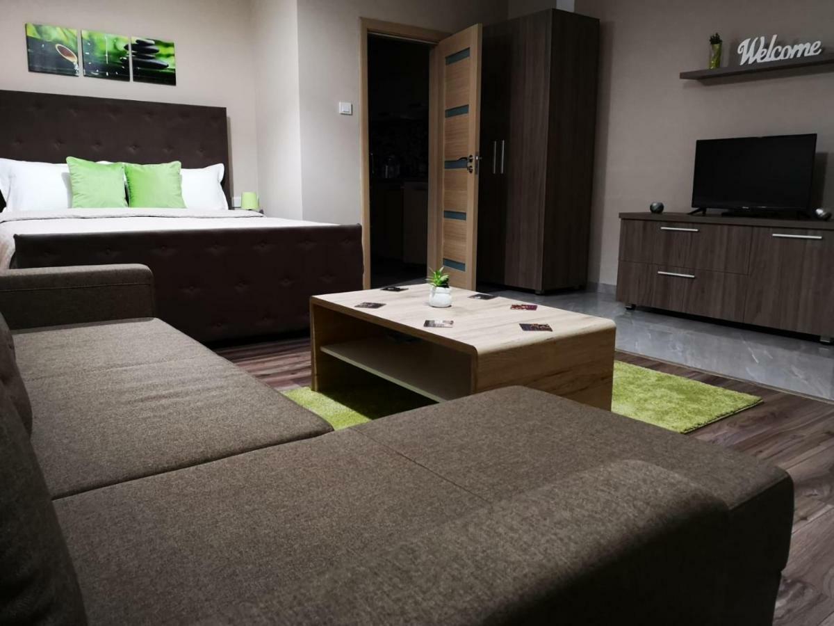 Irina Apartments Temesvár Kültér fotó